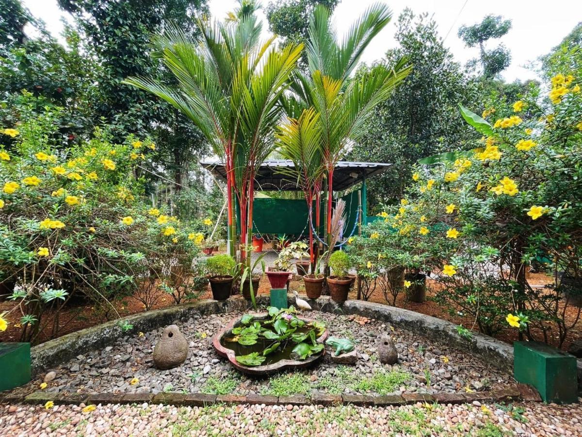 Kuttickattil Gardens Homestay コッタヤム エクステリア 写真