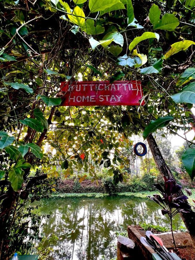 Kuttickattil Gardens Homestay コッタヤム エクステリア 写真