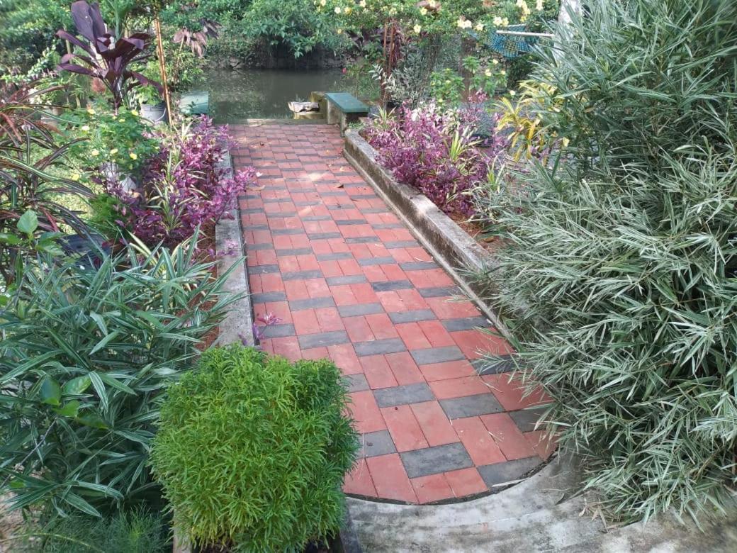 Kuttickattil Gardens Homestay コッタヤム エクステリア 写真