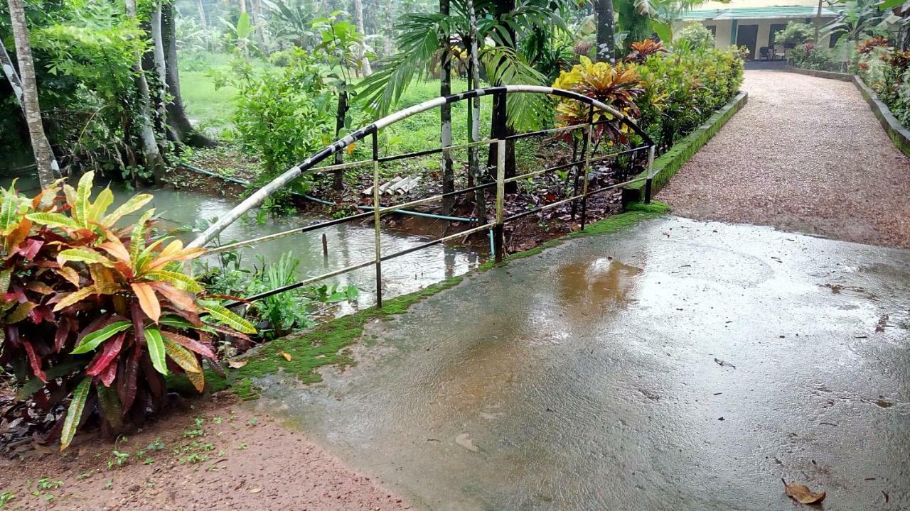 Kuttickattil Gardens Homestay コッタヤム エクステリア 写真